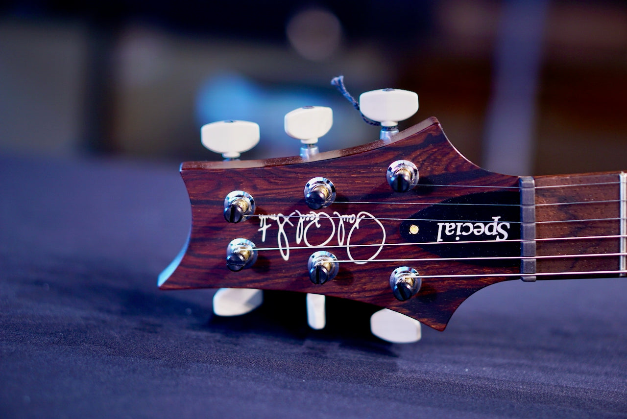 PRS Special 22 Semi Hollow Wood Library Jade Rosewood Neck 0413774