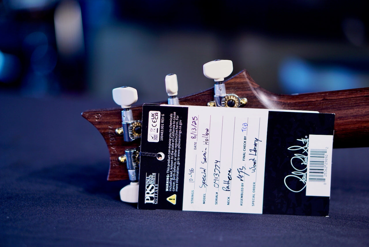 PRS Special 22 Semi Hollow Wood Library Jade Rosewood Neck 0413774