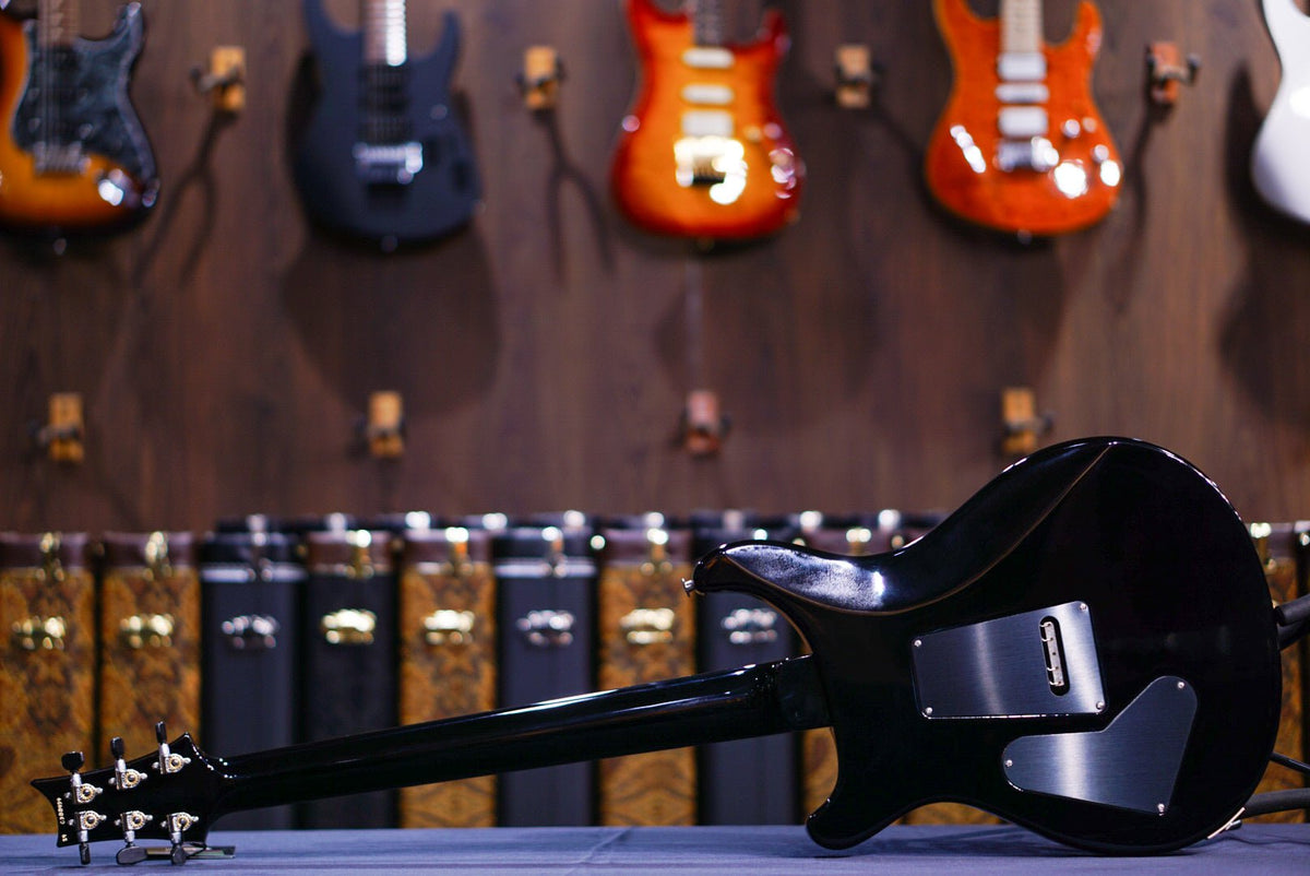 PRS Custom 24 Floyd Cobalt Smokeburst 0388939
