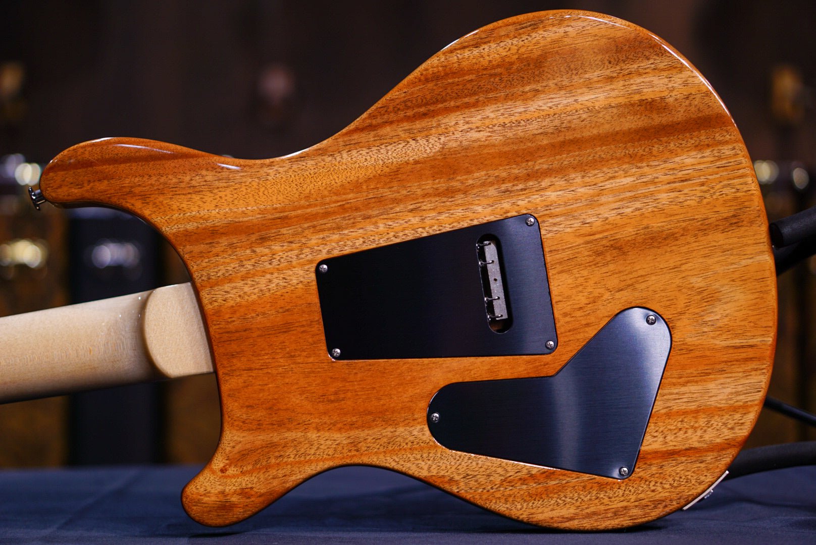 PRS Custom 24 Floyd Carroll Blue 0385695