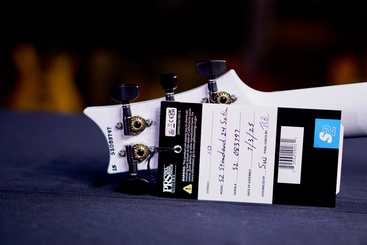 PRS S2 Standard 24 Satin Cloud Burst S2 083797