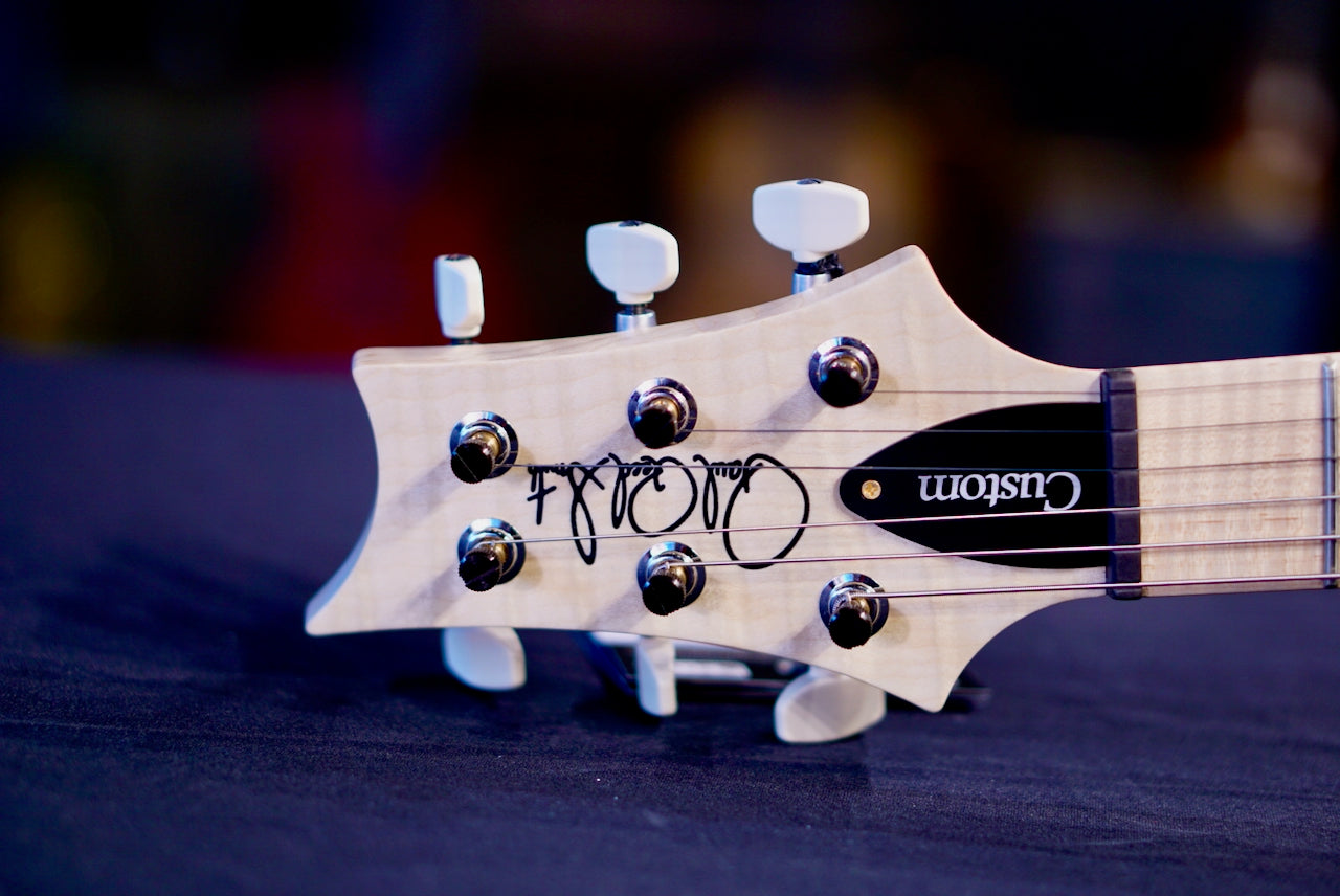 PRS Custom 24 Piezo Wood Library Artist Neck Gray Black Fade 0414185