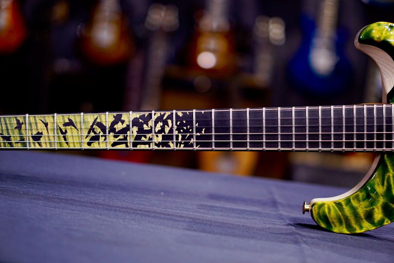 PRS Privatestock Custom 24-08 Piezo Rainforest Glow PS# 11999