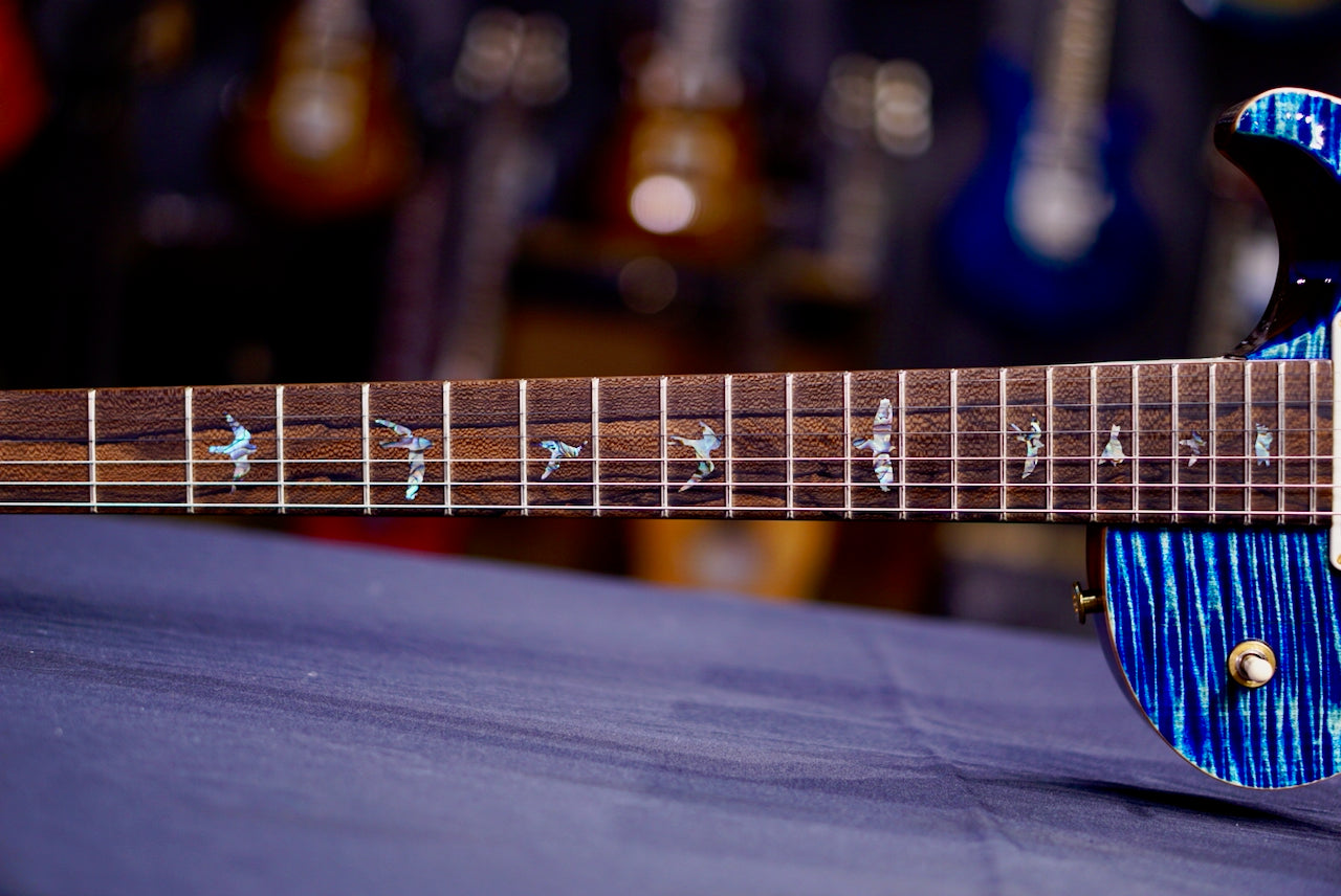 PRS Tremonti Wood Library Artist Neck Custom River Blue Choco back 0414604