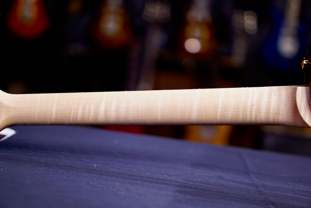 PRS Tremonti Wood Library Artist Neck Custom River Blue Choco back 0414604