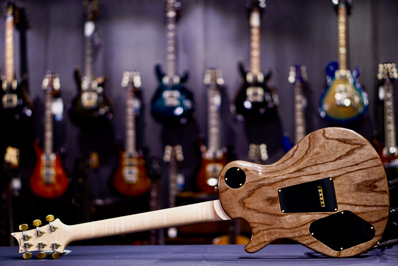 PRS Tremonti Wood Library Artist Neck Custom River Blue Choco back 0414604