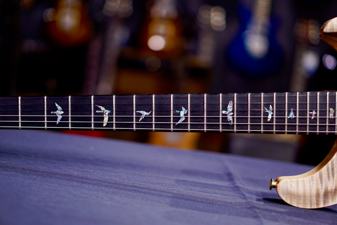 PRS Custom 24 Piezo Wood Library Rosewood Neck Gray Black Fade 0412657