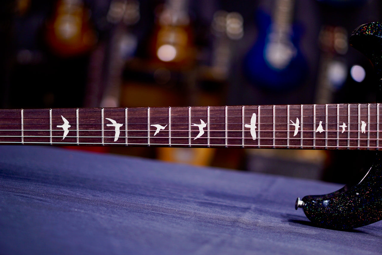 PRS S2 Standard 24 Black Rainbow Holoflake S2084801
