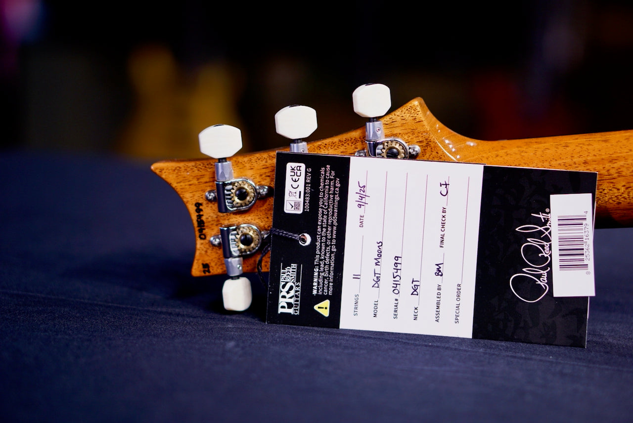 PRS DGT Moons Charcoal 0415499