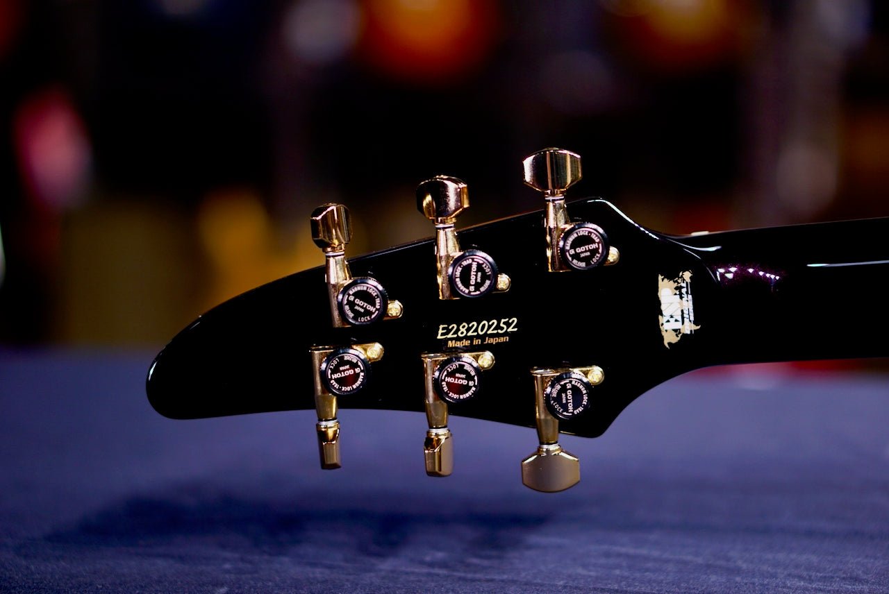 ESP Horizon CTM NT FM Red Purple Gradation E2820252