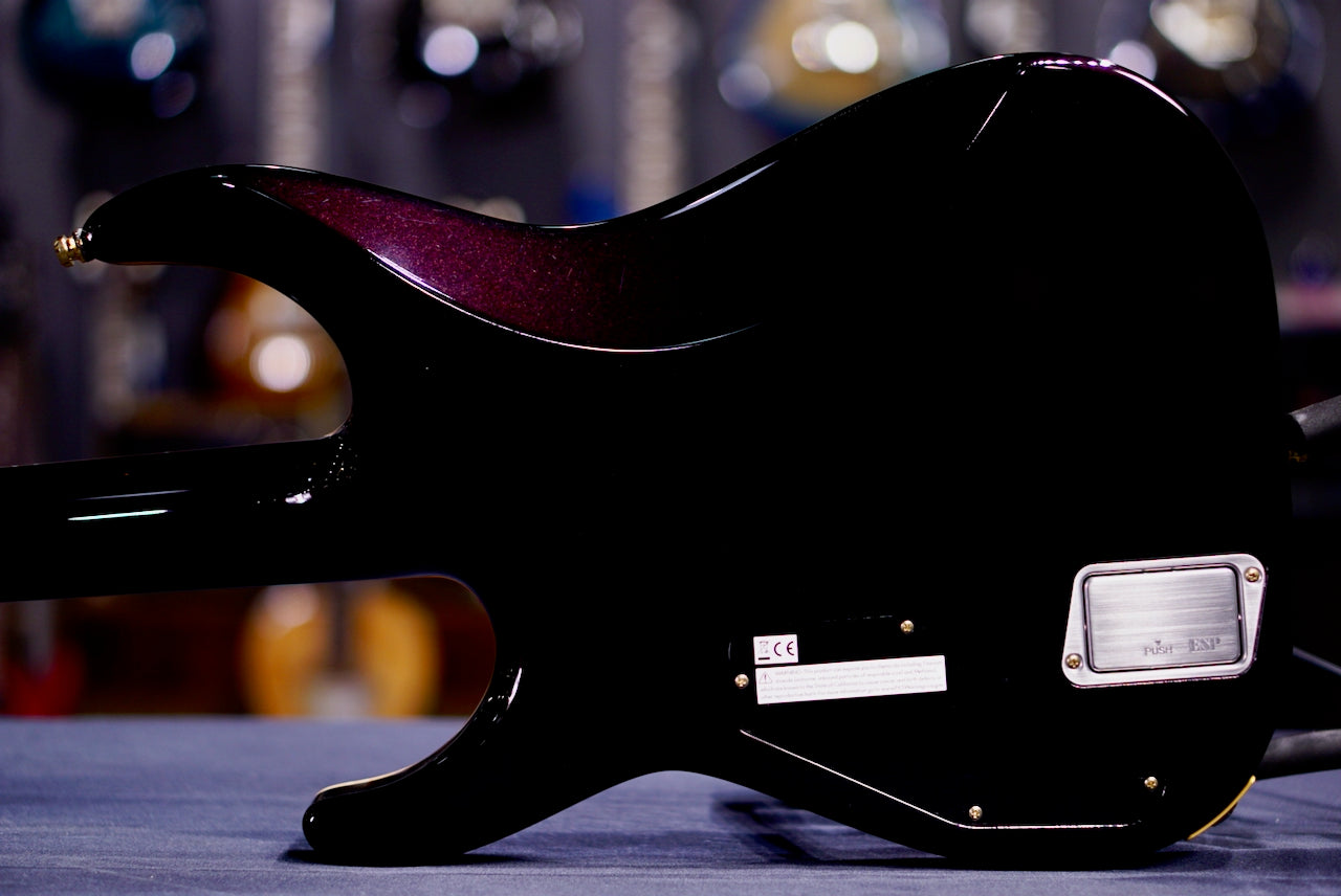 ESP Horizon CTM NT FM Red Purple Gradation E2820252