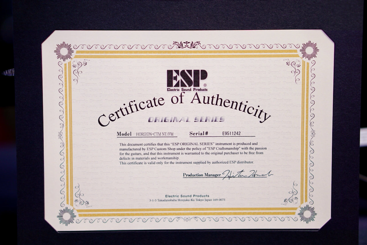 ESP Horizon CTM NT FM Pink Brown Gradation E9511242