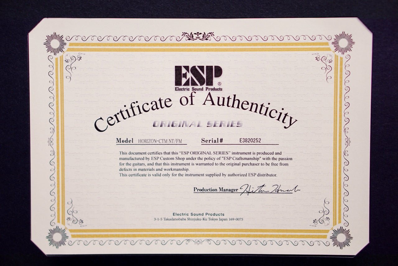 ESP Horizon CTM NT FM Purple Green Gradation E3820252