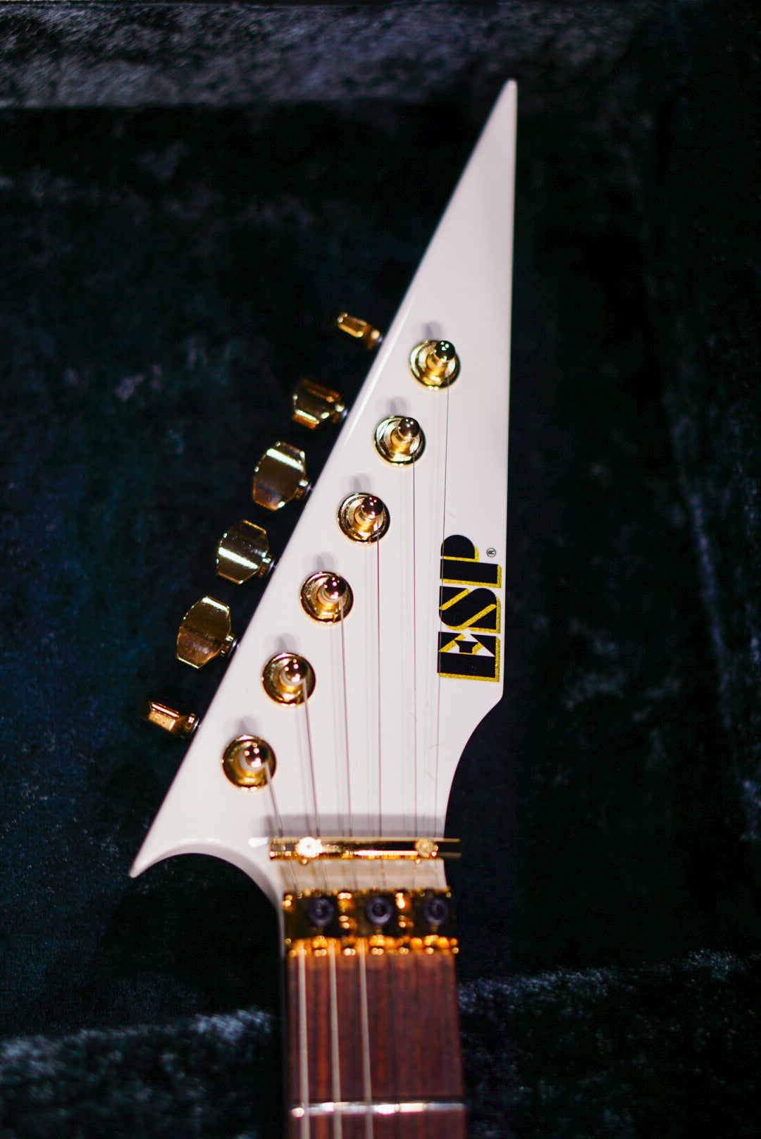 ESP FLYING A-II Toshihiko Takamizawa THE ALFEE E6910242