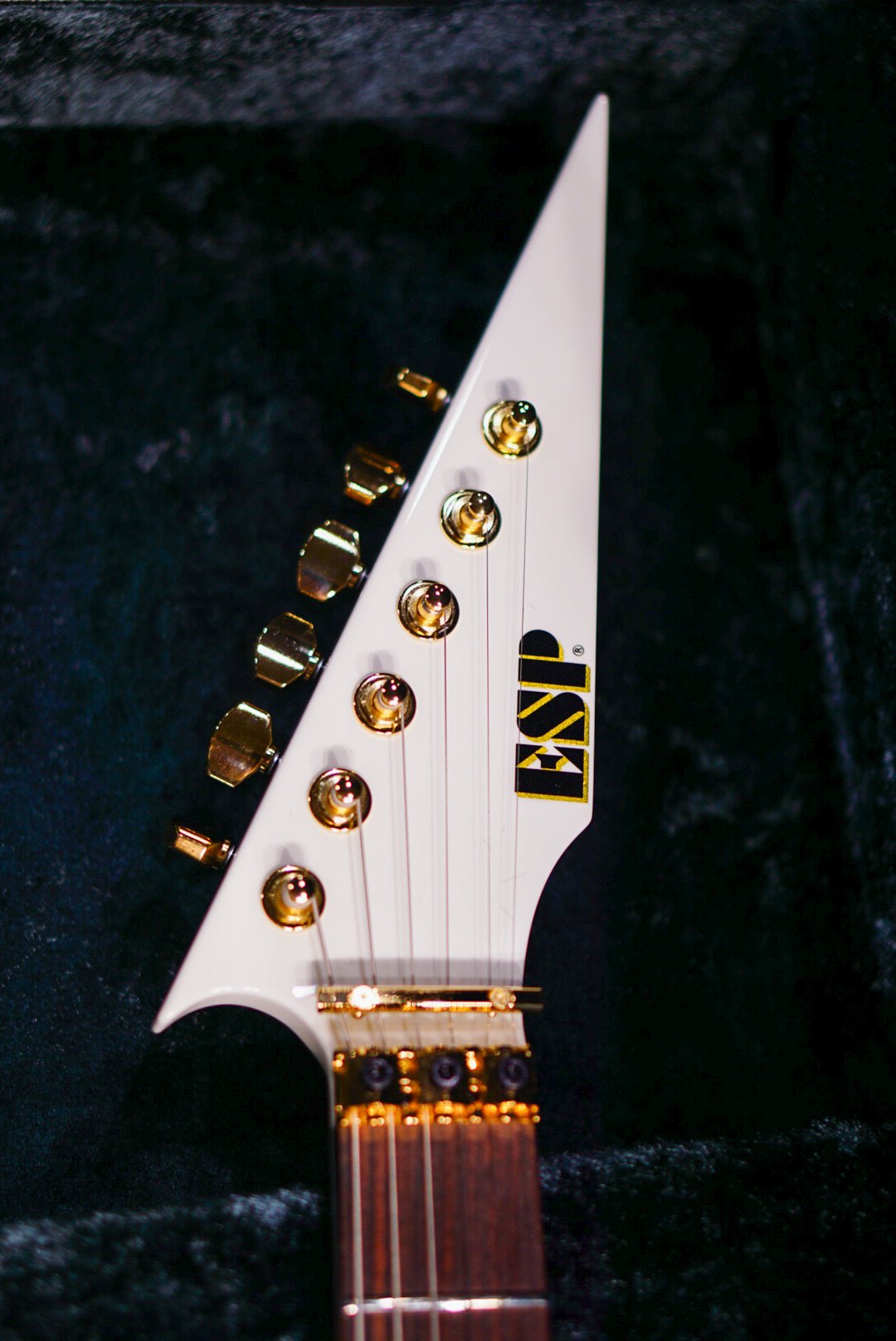 ESP FLYING A-II Toshihiko Takamizawa THE ALFEE E6910242
