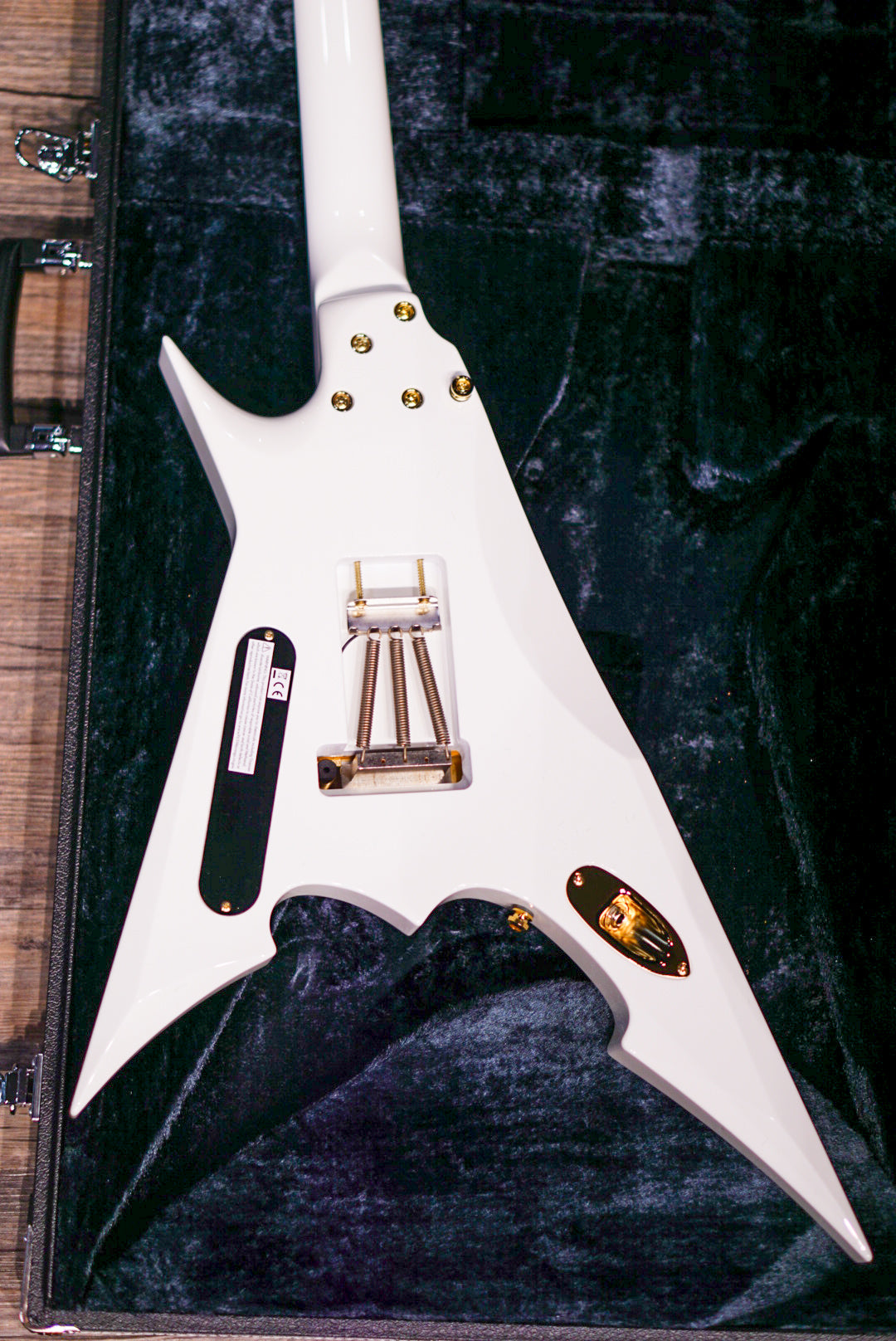 ESP FLYING A-II Toshihiko Takamizawa THE ALFEE E6910242