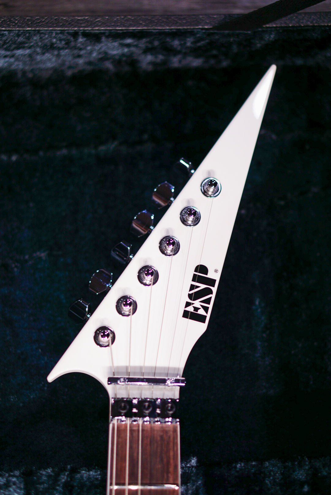 ESP FLYING AI Toshihiko Takamizawa THE ALFEE E5910242