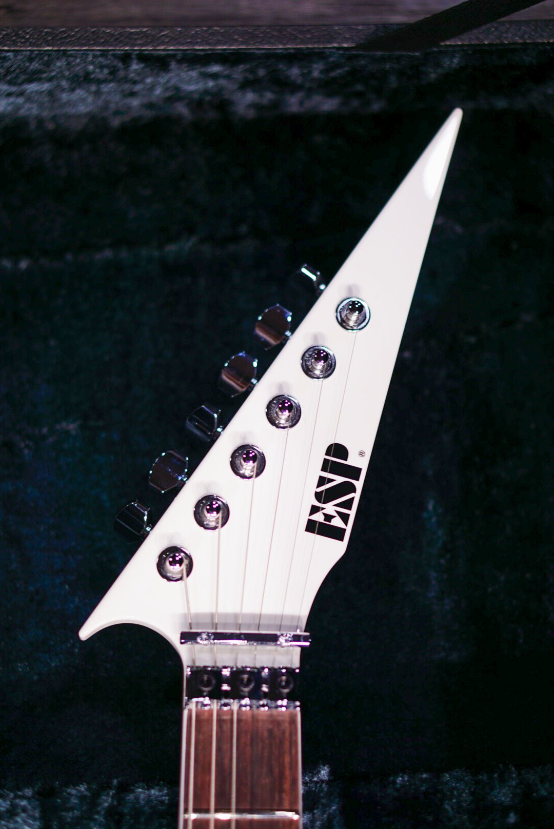 ESP FLYING AI Toshihiko Takamizawa THE ALFEE E5910242