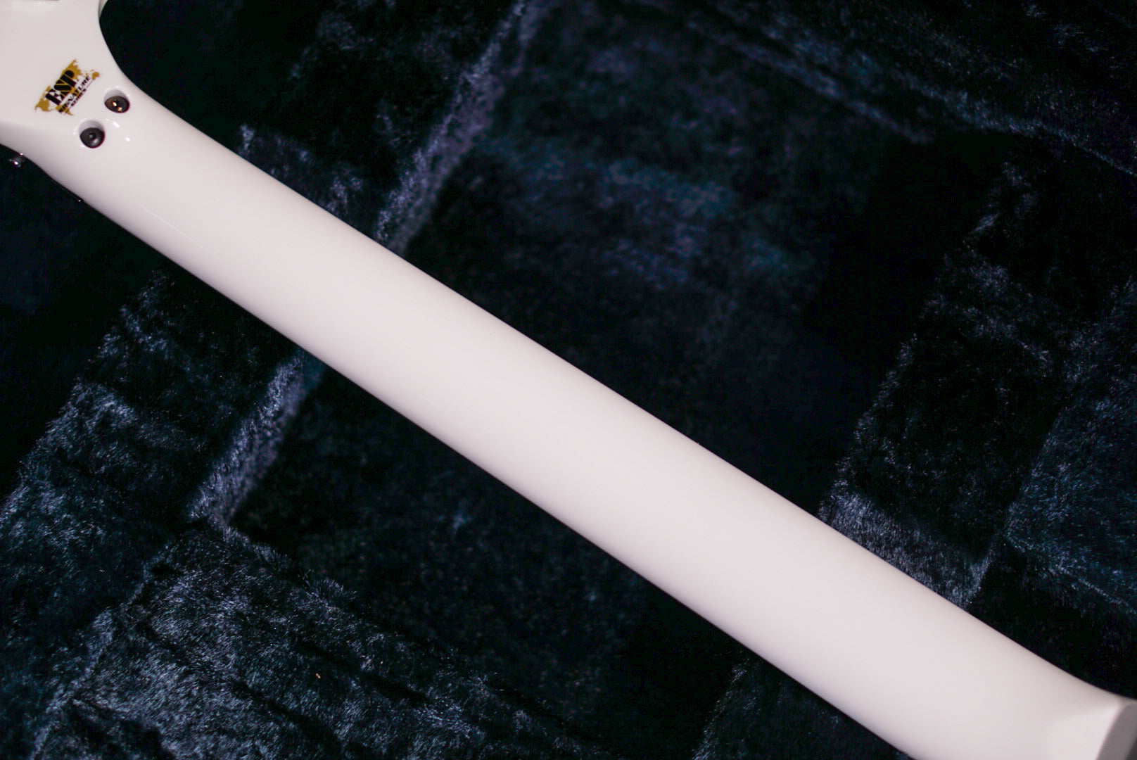 ESP FLYING AI Toshihiko Takamizawa THE ALFEE E5910242