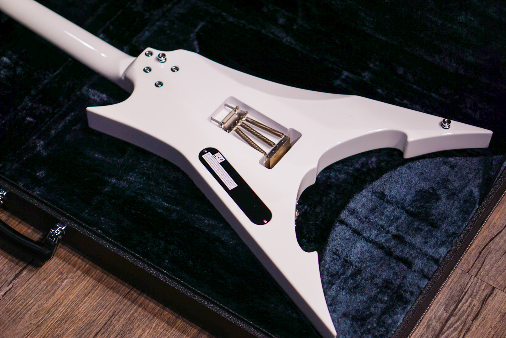 ESP FLYING AI Toshihiko Takamizawa THE ALFEE E5910242