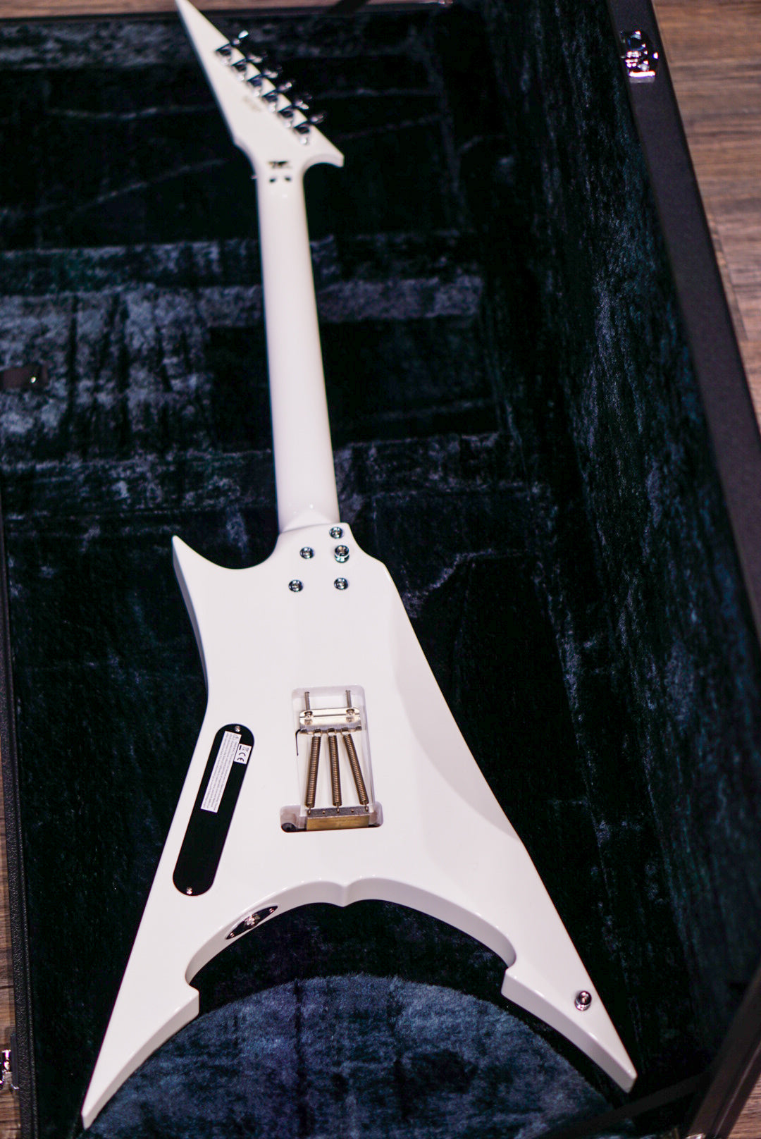 ESP FLYING AI Toshihiko Takamizawa THE ALFEE E5910242