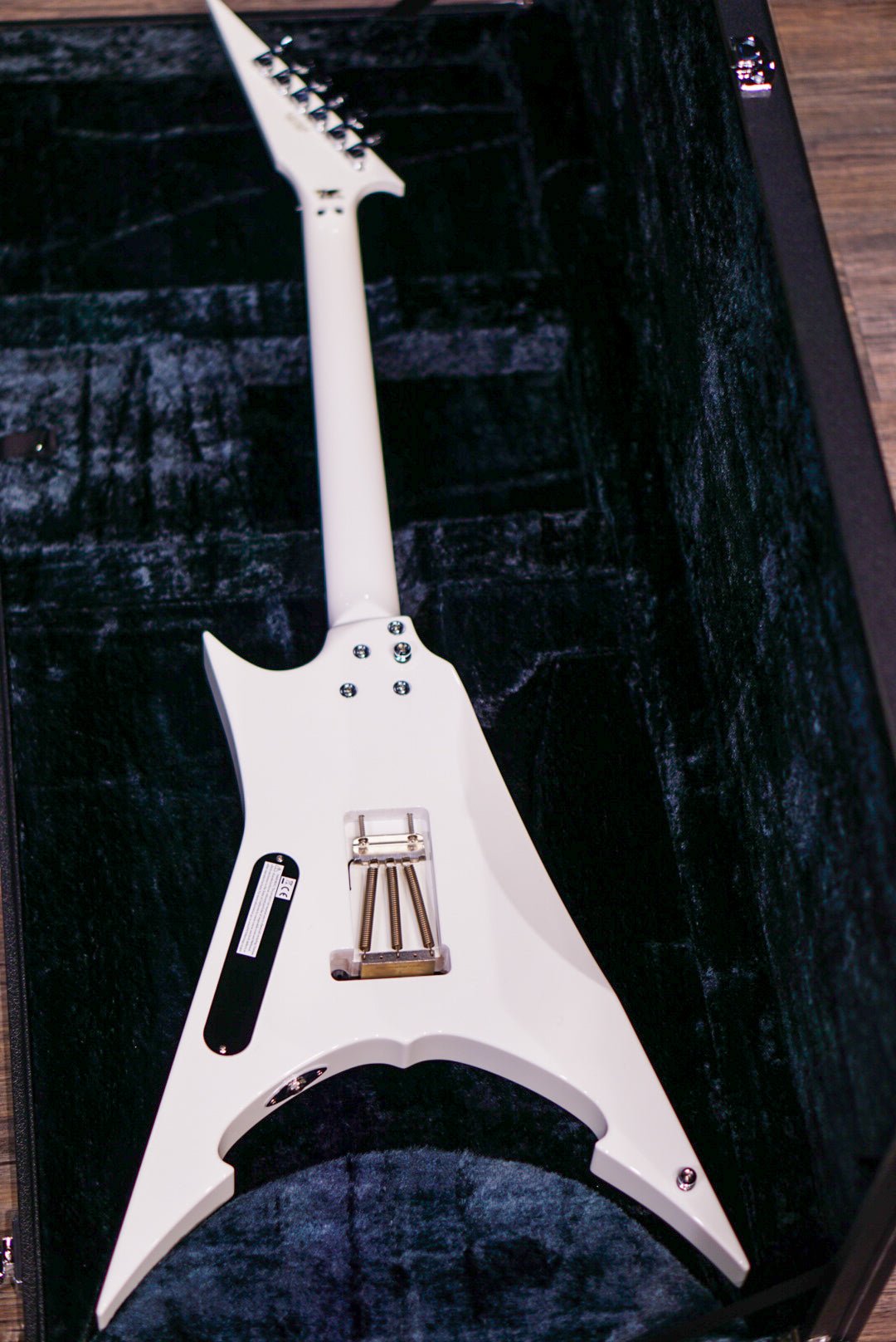 ESP FLYING AI Toshihiko Takamizawa THE ALFEE E5910242