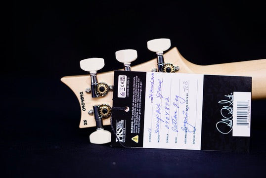 PRS Swamp Ash Special White Doghair Smokeburst Rosewood fb 0404842