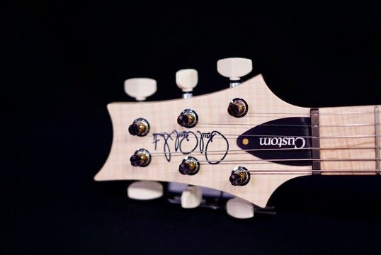 PRS Custom 24 Piezo Wood Library Artist Neck Jade 0405766