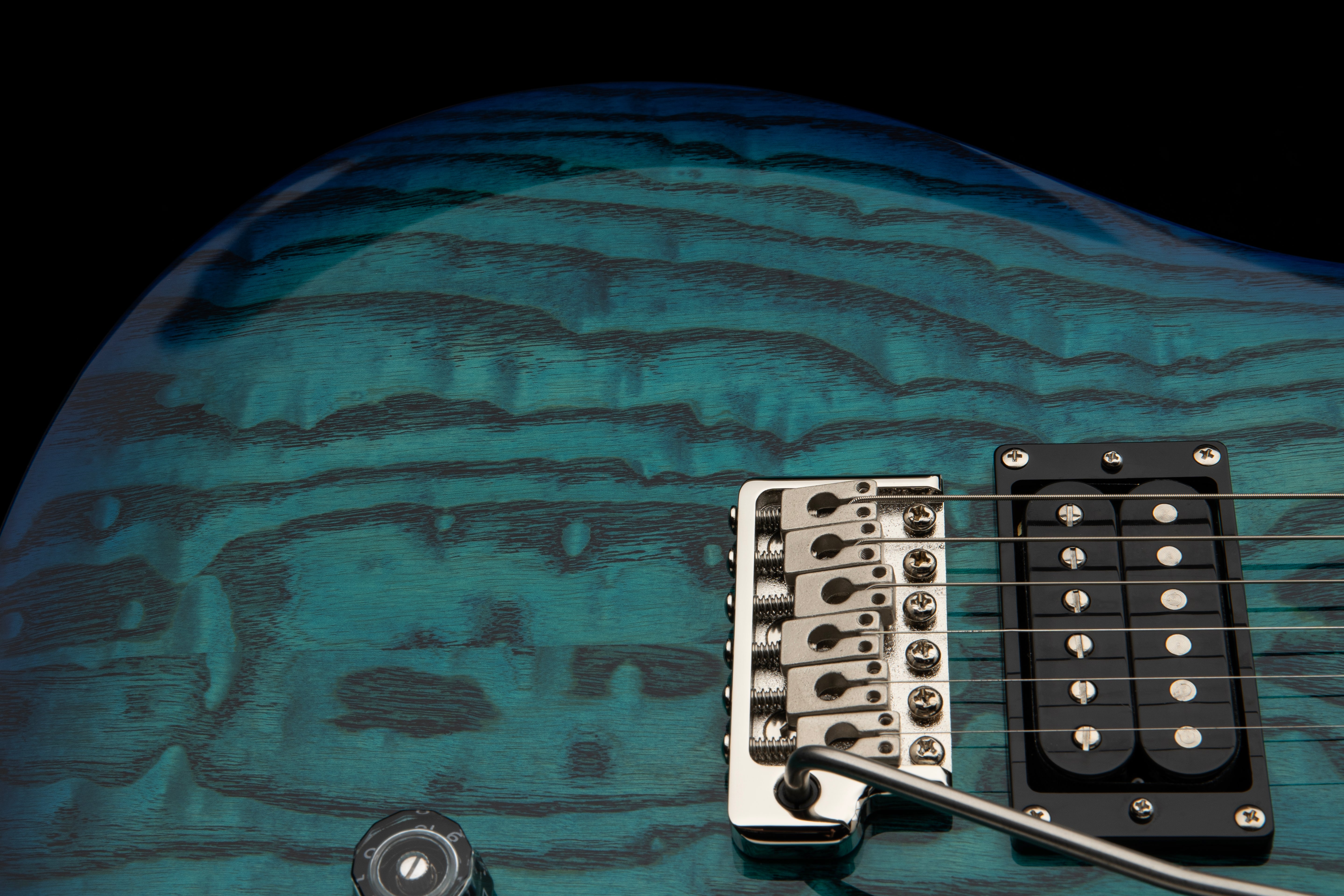 PRS SE "Exotic" Custom 24 Swamp Ash Burl Lake Blue