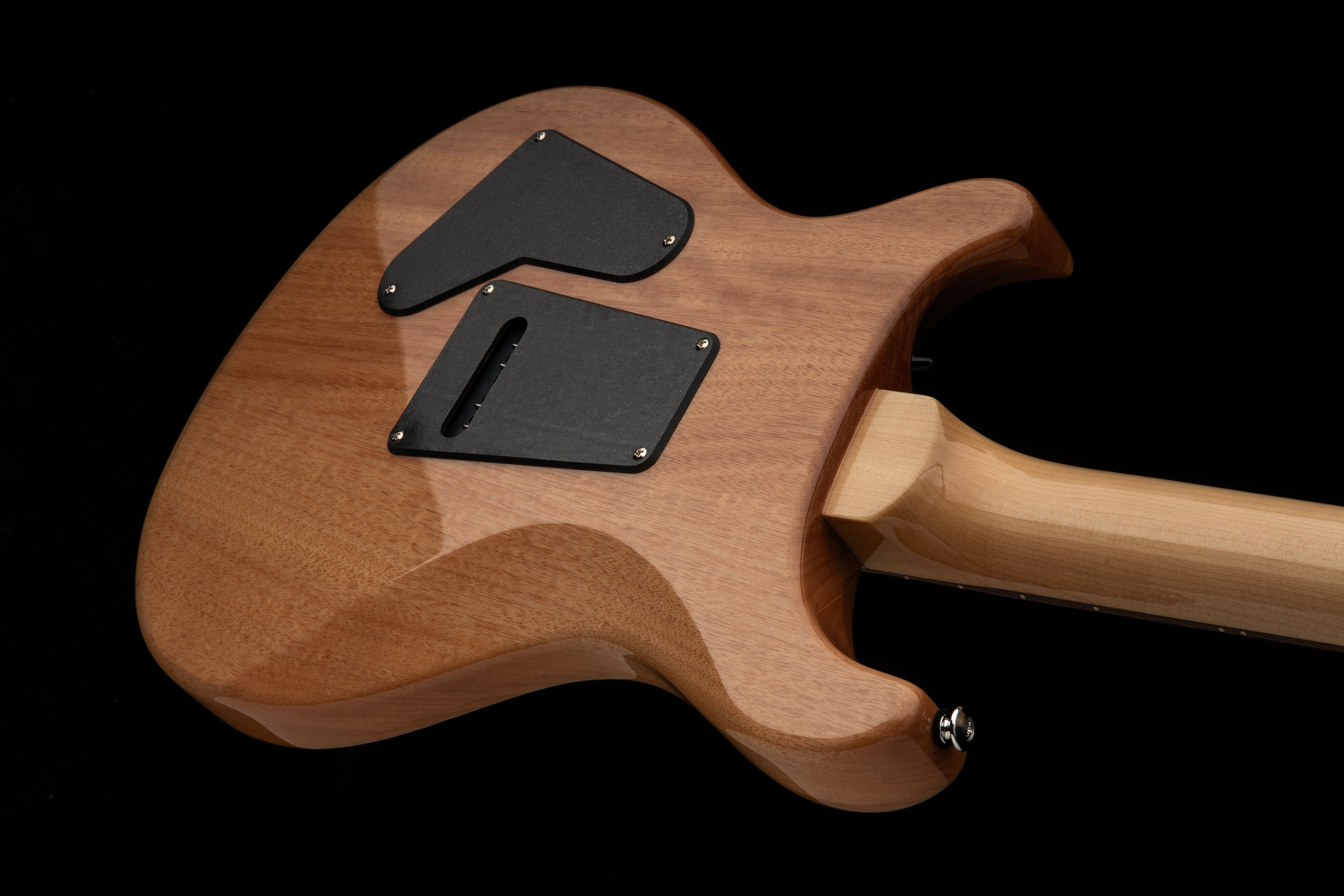 PRS SE "Exotic" Custom 24 Swamp Ash Burl Lake Blue