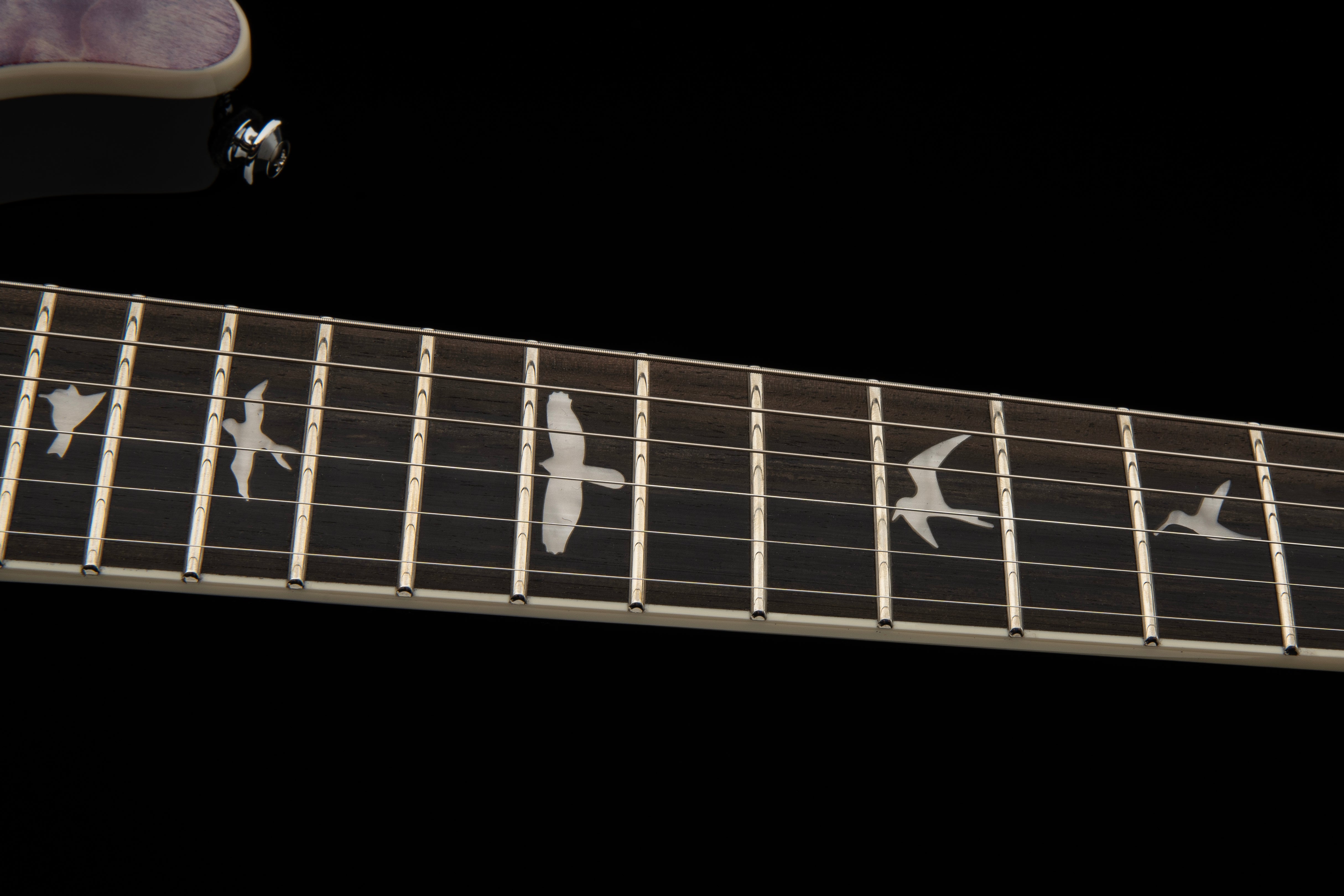 PRS SE Custom 24 Quilt violet