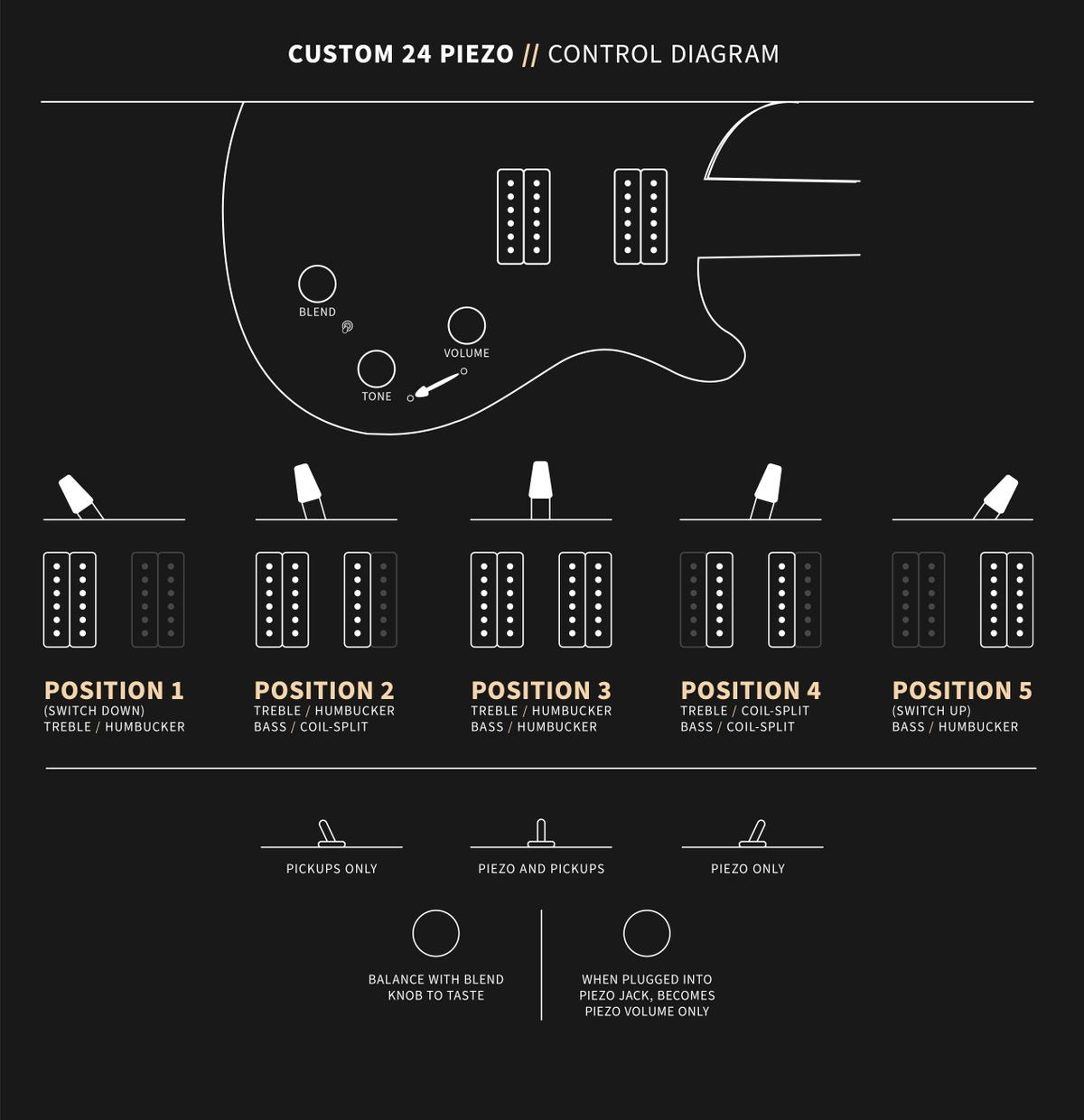 PRS Custom 24 Piezo Wood Library Artist Neck Blue Fade 0405762