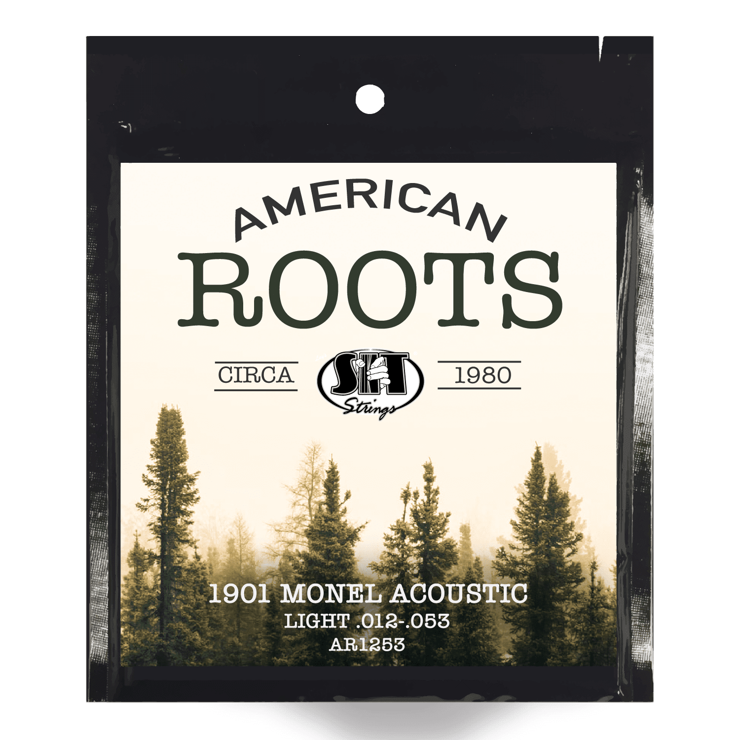 SIT AMERCIAN ROOTS MONEL ACOUSTIC - HIENDGUITAR HIENDGUITAR