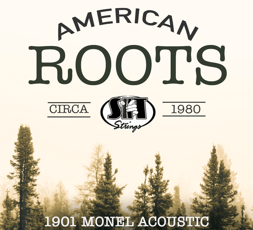 SIT AMERCIAN ROOTS MONEL ACOUSTIC - HIENDGUITAR AR1356 MEDIUM AR1356 MEDIUM HIENDGUITAR
