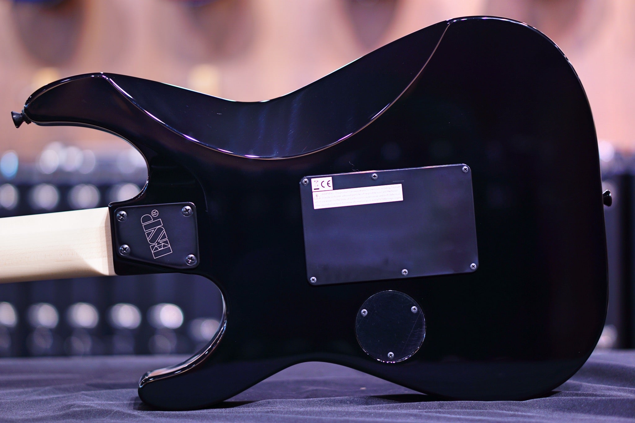 ESP George Lynch Signature Skull and Snakes E3710222 - HIENDGUITAR ESP GUITAR