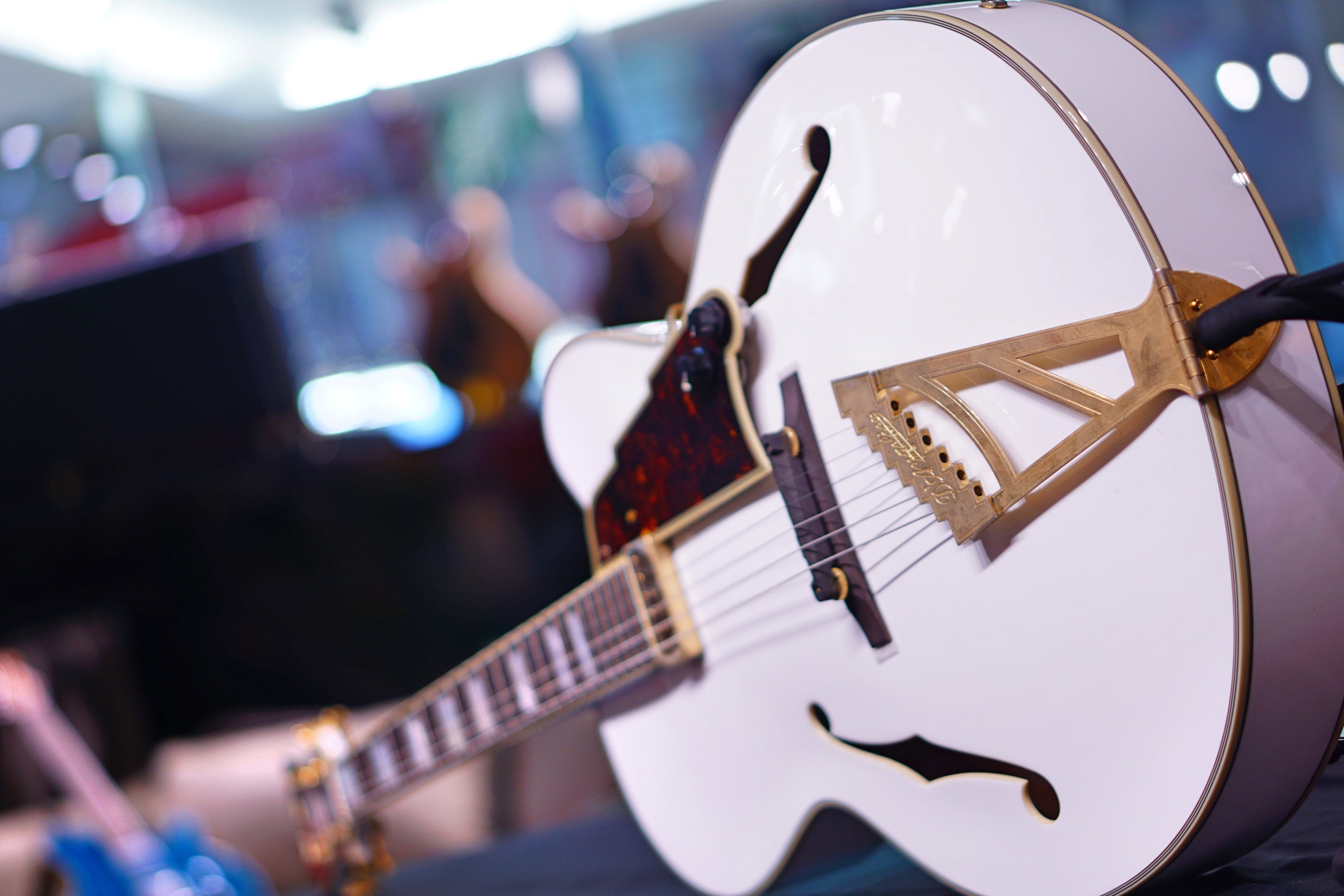 Dangelico ARCHTOP-floating WHITE DAEXL1WH US14050125 dangelico Default Title - HIENDGUITAR.COM