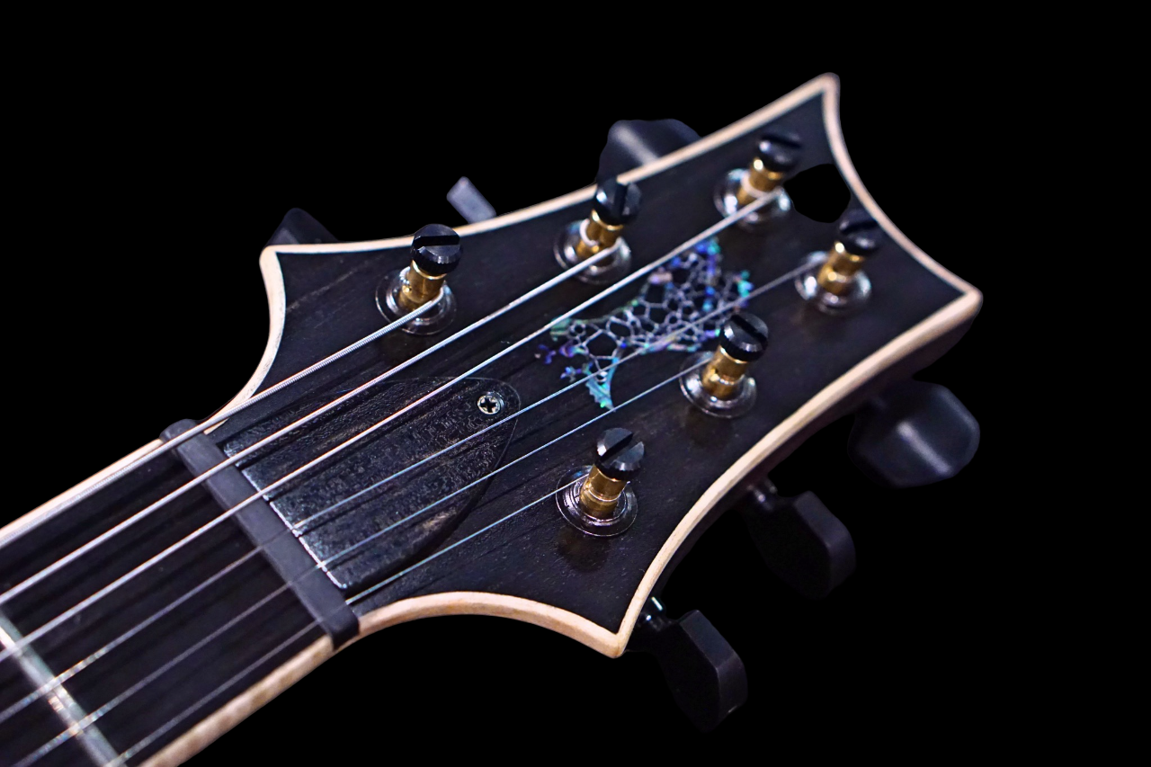 PRS Privatestock Custom 24/08 piezo PS#9512 - HIENDGUITAR PRS GUITAR