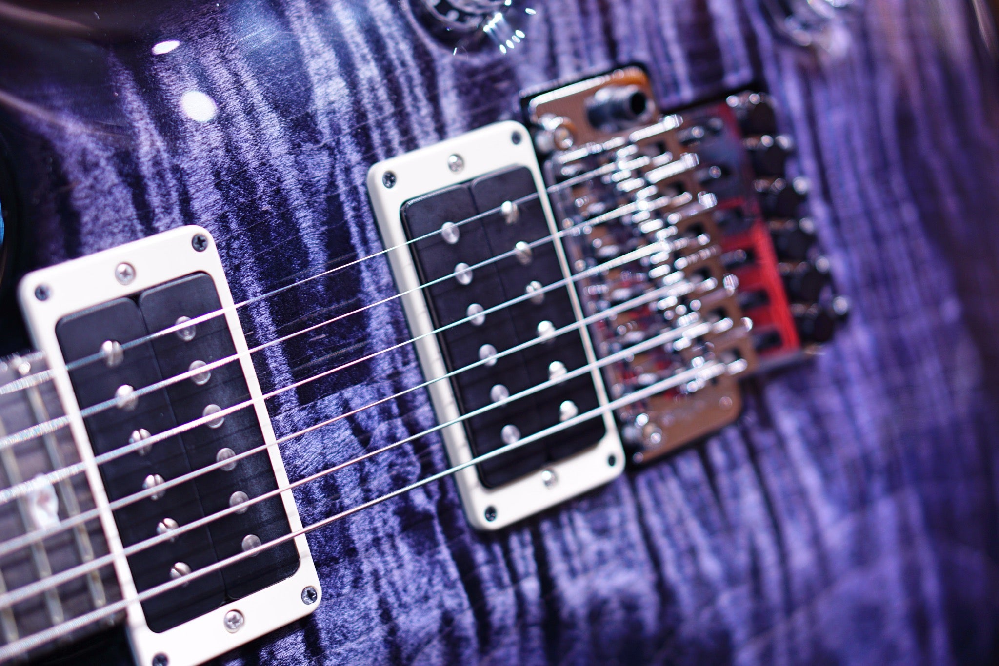 PRS Custom 24 Floyd Purple Mist 0354572 - HIENDGUITAR PRS GUITAR