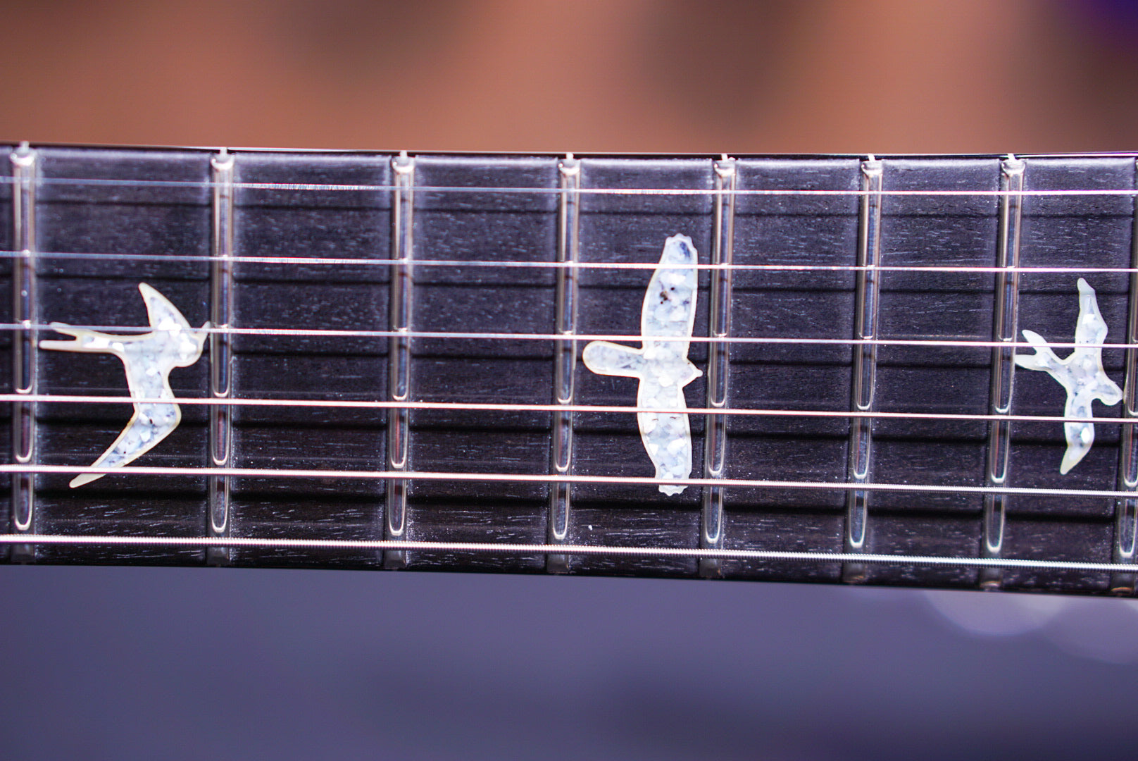 PRS Privatestock modern eagle V Galaxy fade - HIENDGUITAR PRS GUITAR