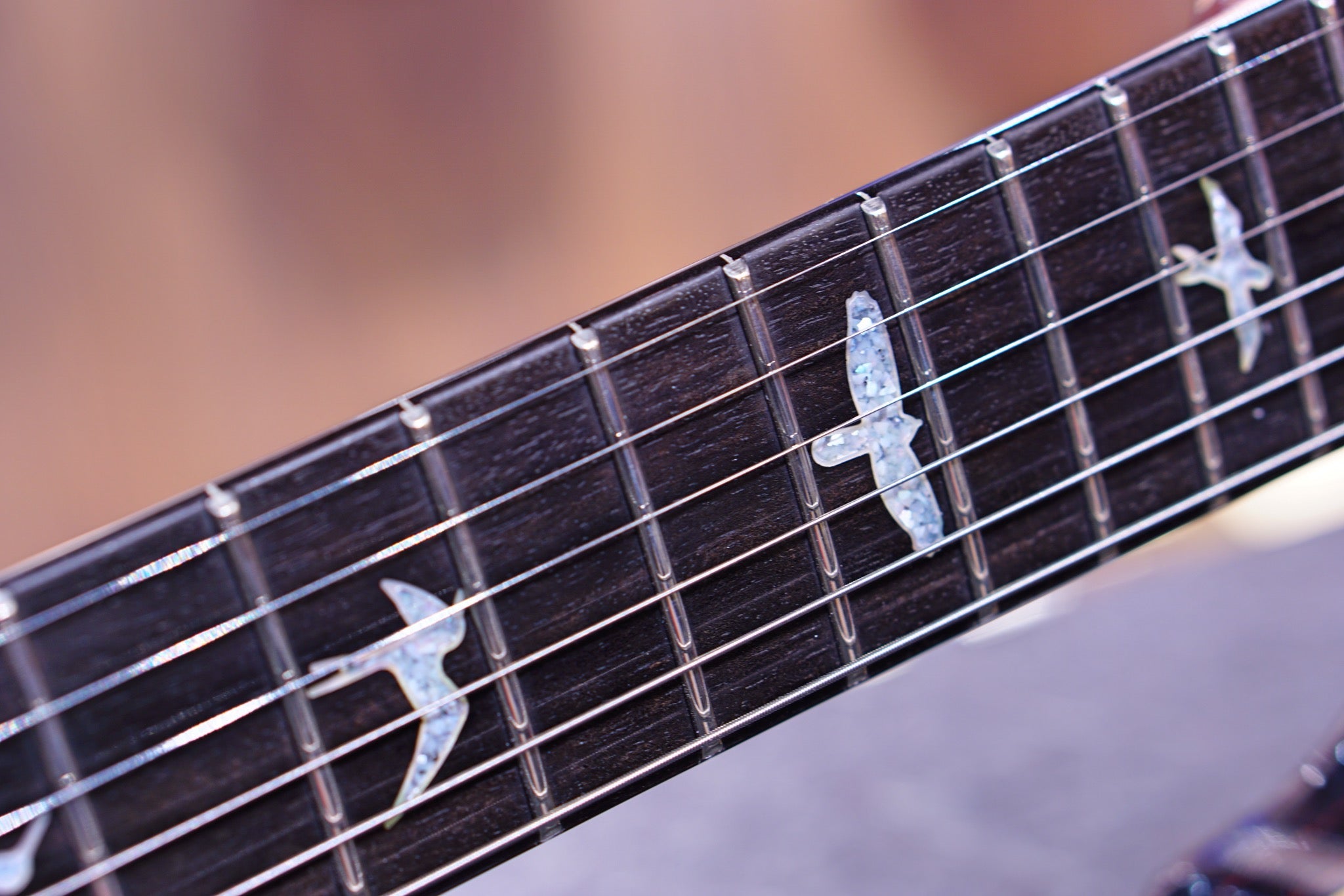 PRS Privatestock modern eagle V Galaxy fade - HIENDGUITAR PRS GUITAR