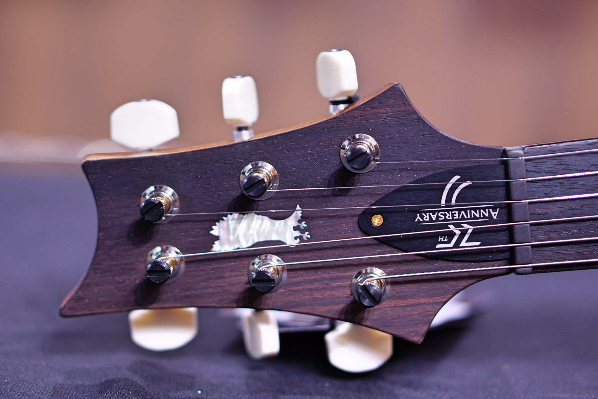 PRS 35th Anniversary Custom 24 - Matteo Verde 10top Regular Neck 0329292 - HIENDGUITAR PRS GUITAR