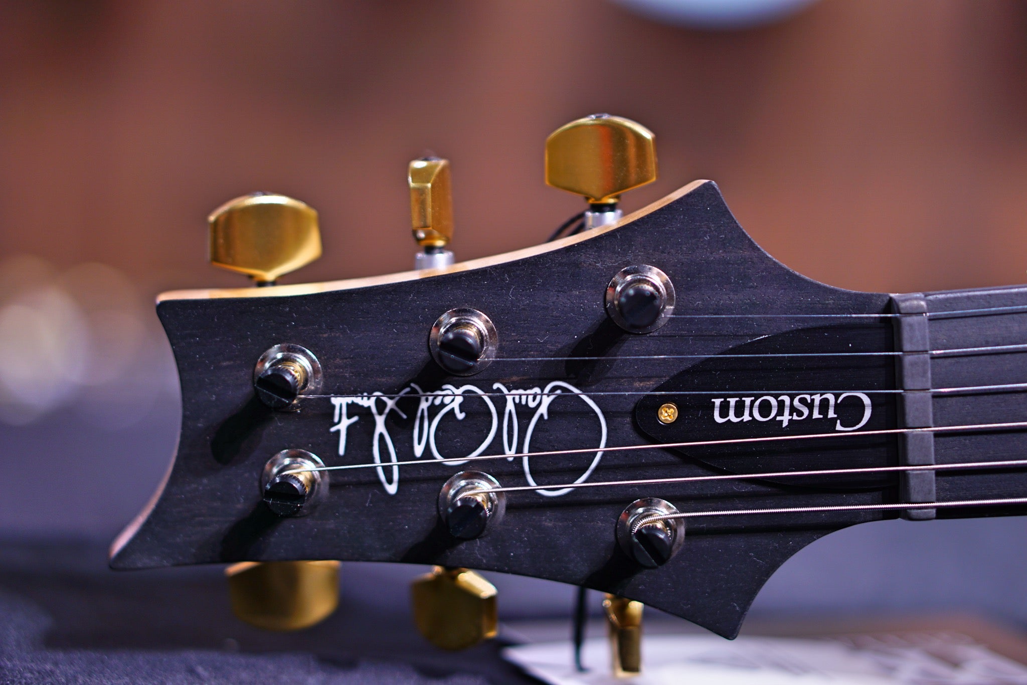 PRS Custom 24 Piezo wood library autumn sky Torrefied maple neck run 0334824 - HIENDGUITAR PRS GUITAR