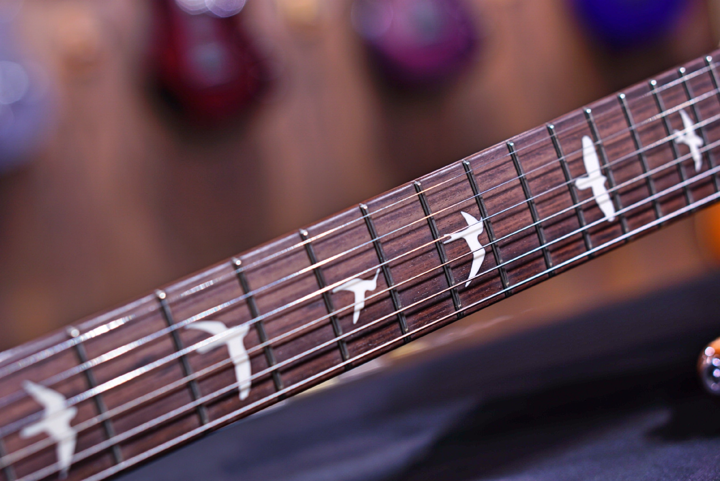 PRS CE24 Semi hollow eriza verde 0333968 - HIENDGUITAR PRS GUITAR