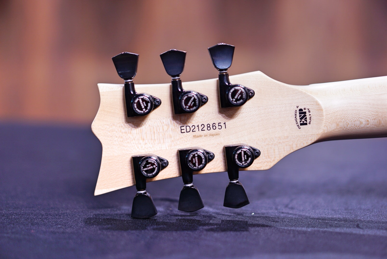 EDWARDS E-VIPER -1H Alternative Black - HIENDGUITAR EDWARDS GUITAR