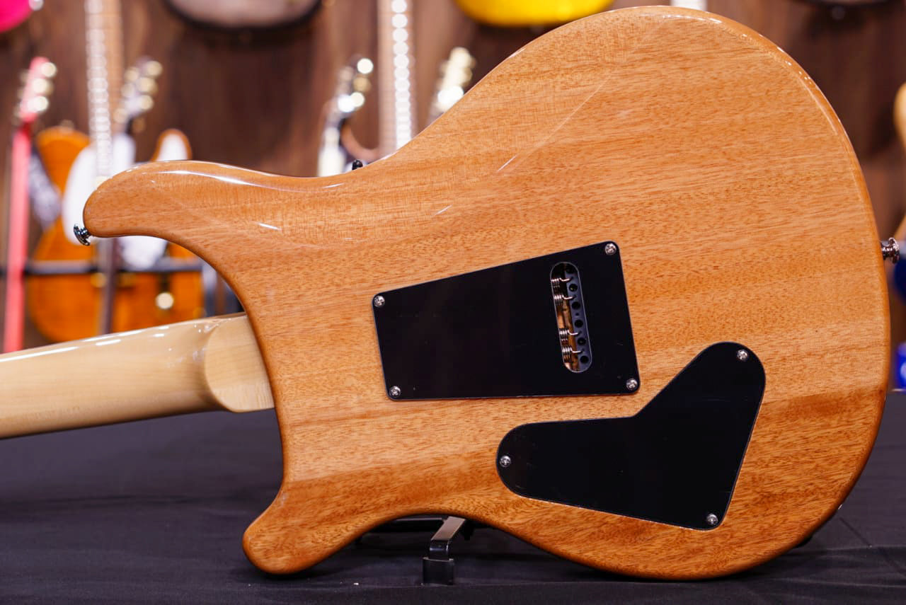 PRS SE Exotic ebony custom 24 - HIENDGUITAR PRS SE GUITAR