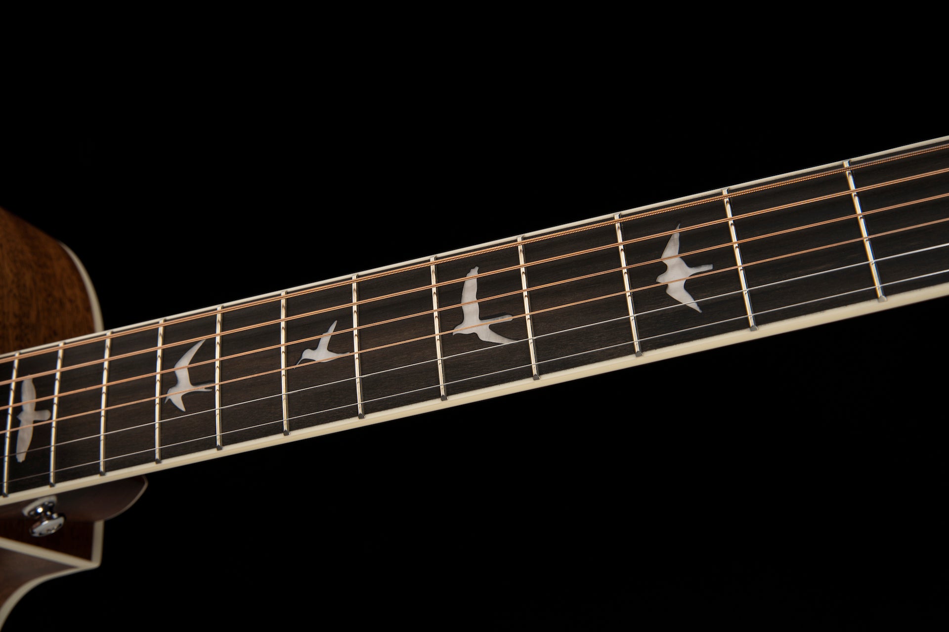 PRS Acoustic SE A20E 2023 - HIENDGUITAR prs se GUITAR