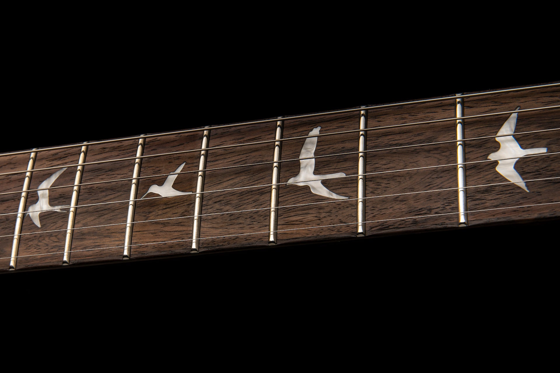 PRS SE Custom 24 Black Gold burst - HIENDGUITAR PRS SE