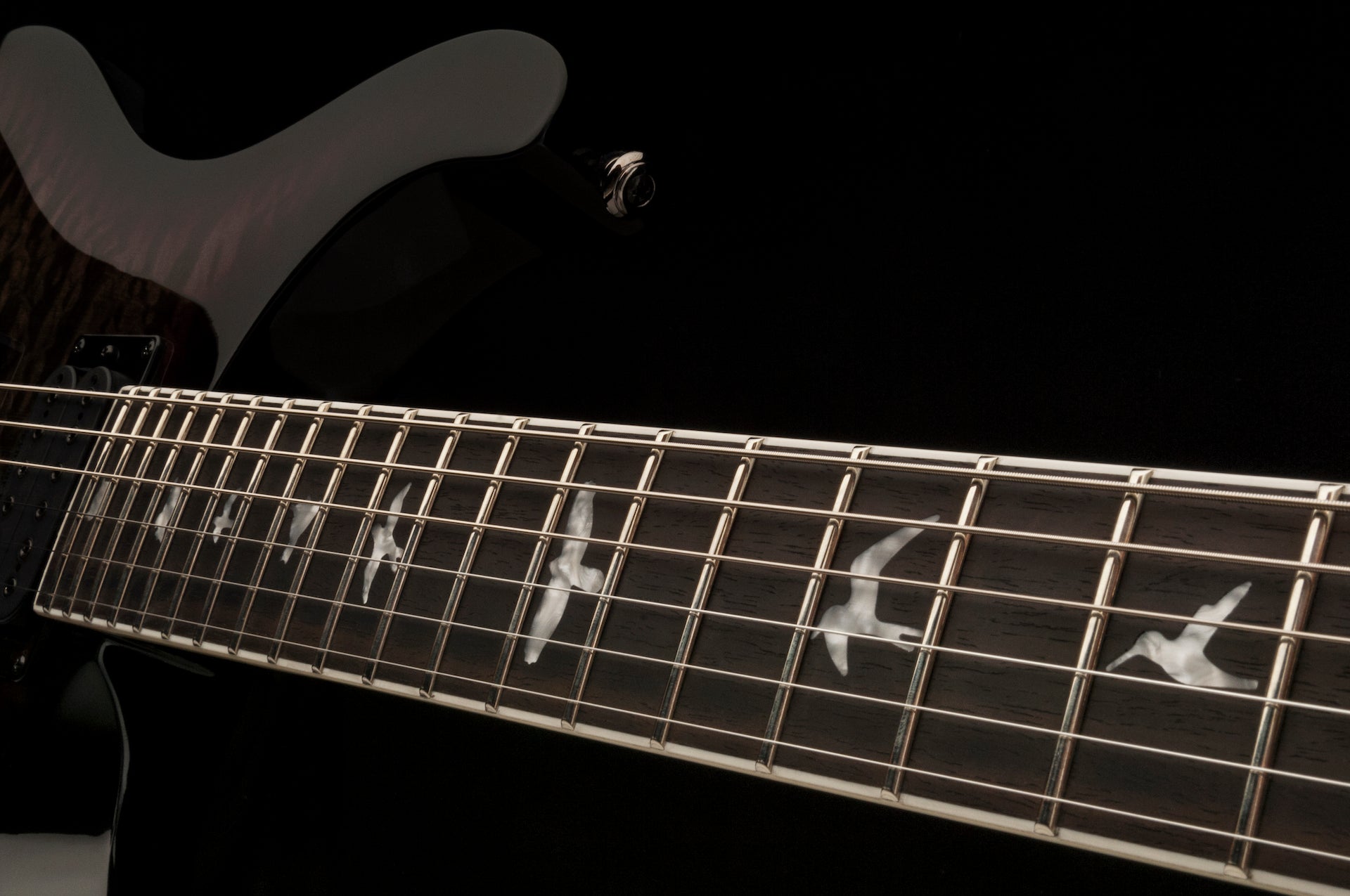 PRS SE Mark Holcomb - Holcomb Burst - HIENDGUITAR PRS SE GUITAR