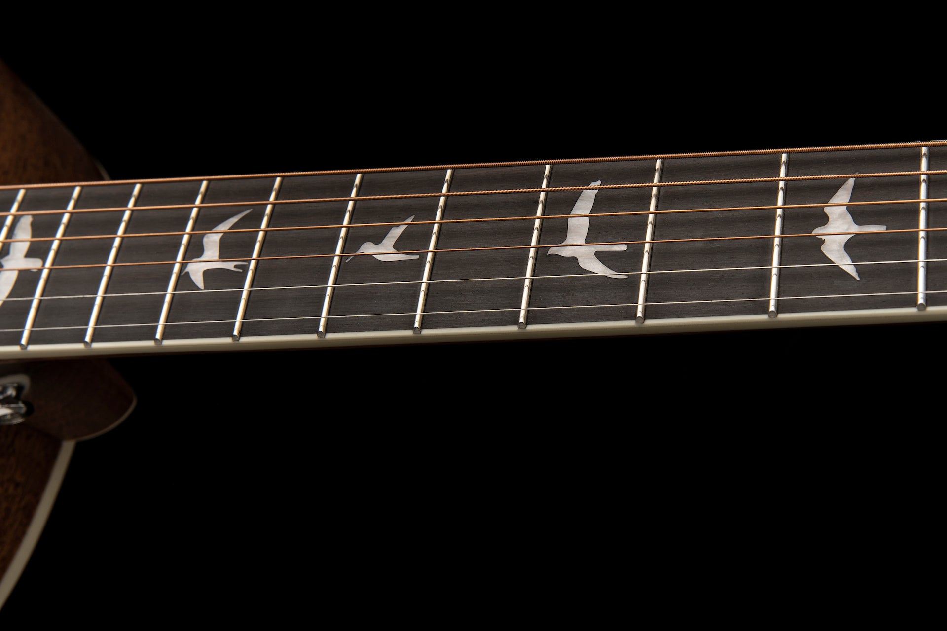 PRS Acoustic SE Parlor Antique white - HIENDGUITAR PRS SE GUITAR