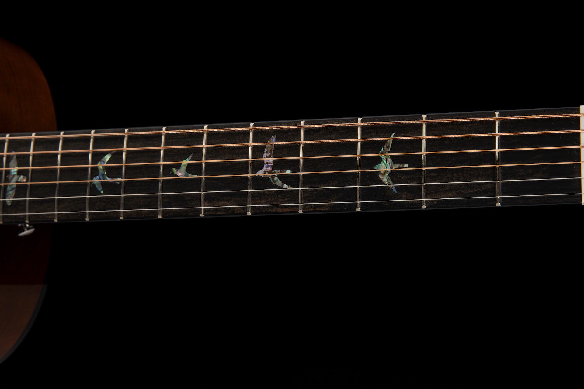 PRS Acoustic SE P50E - HIENDGUITAR prs se GUITAR